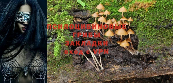 mix Гусев
