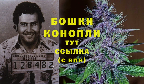 стафф Гусиноозёрск