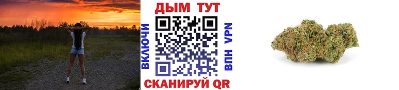 Бошки Шишки VHQ Курлово